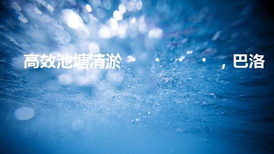 高效池塘清淤，巴洛仕設備助您一臂之力